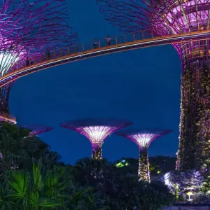 Explore Bangkok to Singapore: Jungle Hikes & Island Nights for 14 days with G Adventures and discover unforgettable experiences - Photo 11