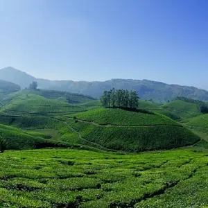 Explore Spiritual Tamilnadu with Enchanting Kerala for 14 days with GeTS Holidays and discover unforgettable experiences - Photo 3