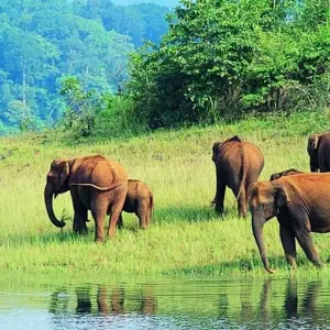 Explore Spiritual Tamilnadu with Enchanting Kerala for 14 days with GeTS Holidays and discover unforgettable experiences - Photo 4