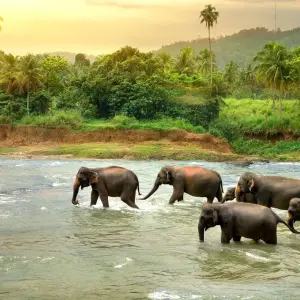 Explore Best of Kerala for 8 days with GeTS Holidays and discover unforgettable experiences - Photo 3