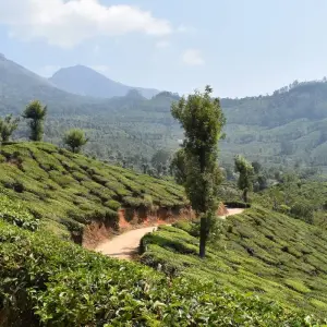 Explore Best of Kerala for 8 days with GeTS Holidays and discover unforgettable experiences - Photo 9