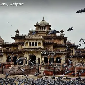 Explore Luxury Golden Triangle Tour with Jodhpur and Udaipur for 9 days with GeTS Holidays and discover unforgettable experiences - Photo 3