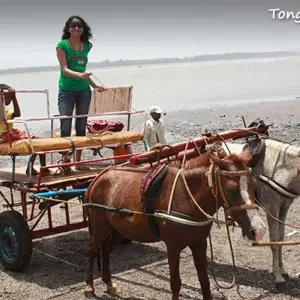 Explore Exciting Mumbai with Relaxing Goa for 6 days with GeTS Holidays and discover unforgettable experiences - Photo 4