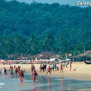 Explore Super Saver Best of India for 14 days with GeTS Holidays and discover unforgettable experiences - Photo 5