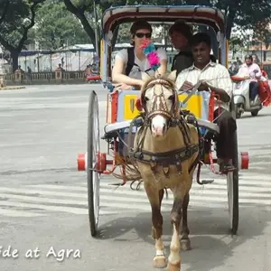 Explore Luxury Golden Triangle Tour of India for 6 days with GeTS Holidays and discover unforgettable experiences - Photo 3