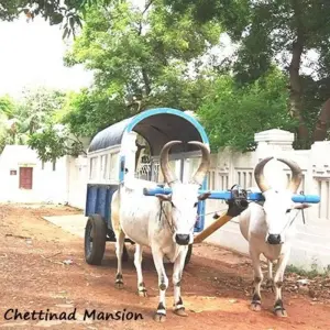 Explore Highlights of Tamil Nadu - South India for 11 days with GeTS Holidays and discover unforgettable experiences - Photo 3