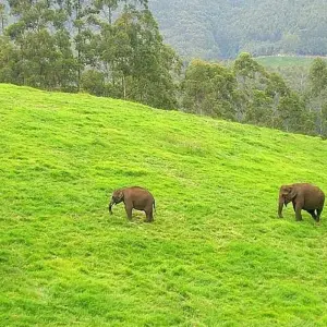 Explore Magical Kerala with Enchanting Tamil Nadu - South India for 13 days with GeTS Holidays and discover unforgettable experiences - Photo 2