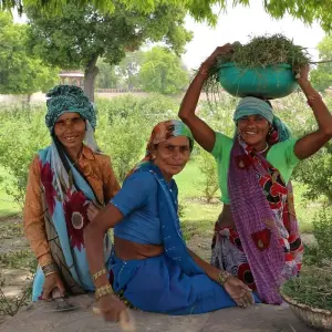 Explore Luxury Golden Triangle Tour of India for 6 days with GeTS Holidays and discover unforgettable experiences - Photo 6