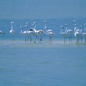 Explore Kenya and Tanzania - savannah dreams in an animal paradise for 13 days with Gebeco and discover unforgettable experiences - Photo 2