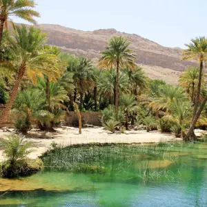 Explore Oman ─ Experience Actively for 12 days with Gebeco and discover unforgettable experiences - Photo 5