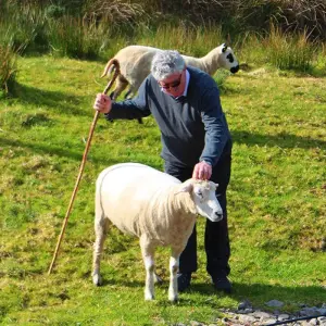 Explore Discover Ireland in Peace for 10 days with Gebeco and discover unforgettable experiences - Photo 3