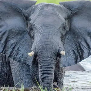Explore Namibia - From Windhoek to the Victoria Falls for 14 days with Gebeco and discover unforgettable experiences - Photo 2