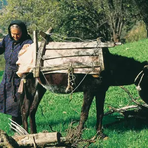 Explore Cyprus ─ Culture and the Sea for 15 days with Gebeco and discover unforgettable experiences - Photo 5