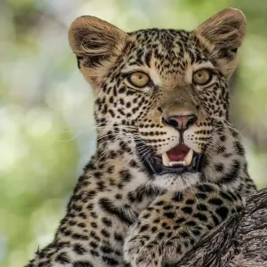 Explore Namibia - From Windhoek to the Victoria Falls for 14 days with Gebeco and discover unforgettable experiences - Photo 4