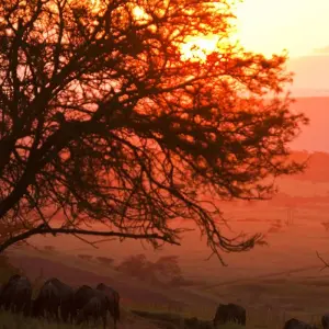 Explore Magical South Africa for 14 days with Gebeco and discover unforgettable experiences - Photo 2