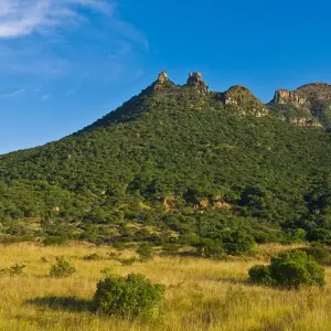 Explore Magical South Africa for 14 days with Gebeco and discover unforgettable experiences - Photo 4
