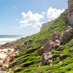 Explore South Africa at its Finest for 15 days with Gebeco and discover unforgettable experiences - Photo 3