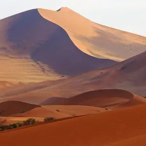 Explore Namibia - Wilderness and Vastness with Flair for 13 days with Gebeco and discover unforgettable experiences - Photo 5