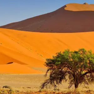 Explore Namibia - Wilderness and Vastness with Flair for 13 days with Gebeco and discover unforgettable experiences - Photo 6