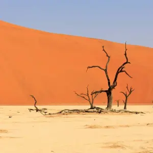 Explore Namibia - Wilderness and Vastness with Flair for 13 days with Gebeco and discover unforgettable experiences - Photo 7