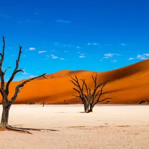 Explore Namibia - Wilderness and Vastness with Flair for 13 days with Gebeco and discover unforgettable experiences - Photo 8