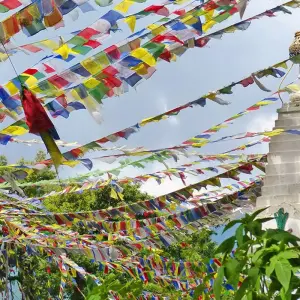 Explore india and Nepal ─ Diversity and contrasts for 16 days with Gebeco and discover unforgettable experiences - Photo 3