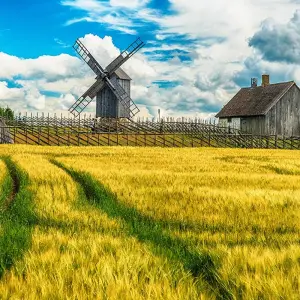 Explore Enjoy the Baltic States to the Full for 14 days with Gebeco and discover unforgettable experiences - Photo 3
