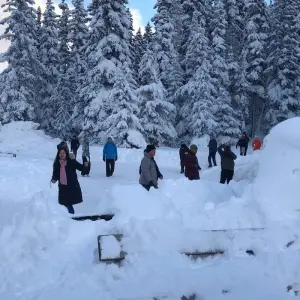 Explore Private Rockies Escape: 6 Days from Vancouver for 6 days with Globalduniya and discover unforgettable experiences - Photo 5