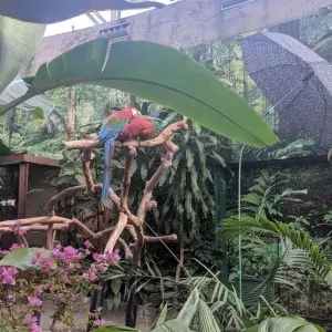 Explore Vancouver Aquarium and Bloedel conservatory wildlife tour private for 1 days with Globalduniya and discover unforgettable experiences - Photo 5