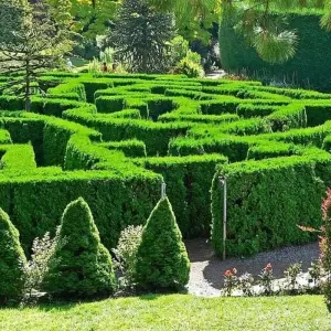 Explore Vancouver Private Family Day Tour | Visit The Most Unique Places for 1 days with Globalduniya and discover unforgettable experiences - Photo 2