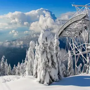 Explore Vancouver Day Trip | Grouse Mountain & Capilano Suspension Bridge Private for 1 days with Globalduniya and discover unforgettable experiences - Photo 2
