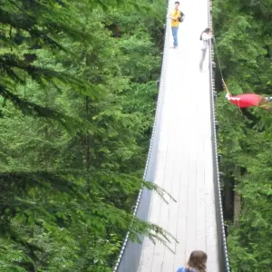 Explore Vancouver Day Trip | Grouse Mountain & Capilano Suspension Bridge Private for 1 days with Globalduniya and discover unforgettable experiences - Photo 4