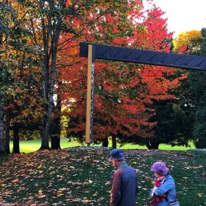 Explore Vancouver city Highlight special tour for 1 days with Globalduniya and discover unforgettable experiences - Photo 9