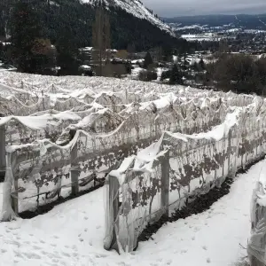Explore Vancouver to Okanagan Valley 2 day Tour Private for 2 days with Globalduniya and discover unforgettable experiences - Photo 8