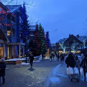 Explore Victoria, Vancouver & Whistler 3 Day Family Adventure Tour for 3 days with Globalduniya and discover unforgettable experiences - Photo 6
