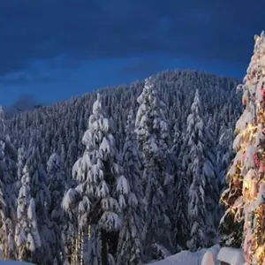 Explore Vancouver Day Trip | Grouse Mountain & Capilano Suspension Bridge Private for 1 days with Globalduniya and discover unforgettable experiences - Photo 11