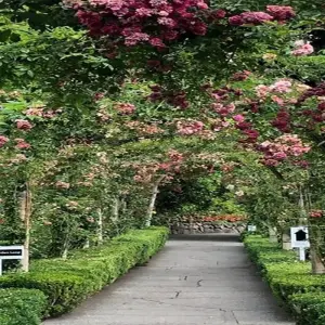 Explore Vancouver, Whistler and Victoria 3 Day Budget Tour for 3 days with Globalduniya and discover unforgettable experiences - Photo 11