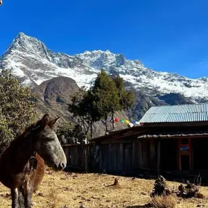 Explore Kanchenjunga North Base Camp Trek - 18 Days for 18 days with Glorious Himalaya Trekking Pvt. Ltd. and discover unforgettable experiences - Photo 4