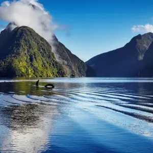 Explore Independent Best of Australia & New Zealand for 15 days with Globus and discover unforgettable experiences - Photo 2