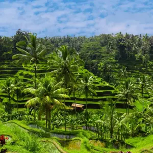 Explore Gems of Indonesia: From Bali to Java with Singapore for 15 days with Globus and discover unforgettable experiences - Photo 6