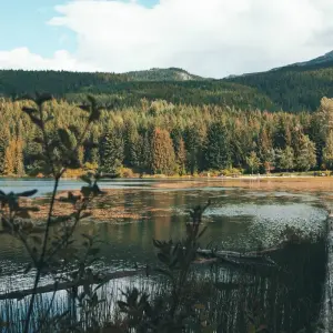 Explore Grand Western Canada Vacation with Alaska Cruise for 20 days with Globus and discover unforgettable experiences - Photo 2