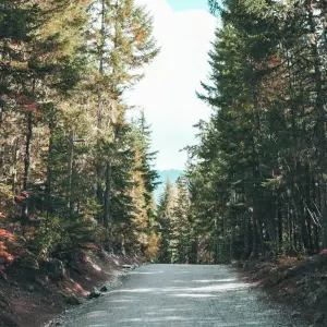 Explore Grand Western Canada Vacation with Alaska Cruise for 20 days with Globus and discover unforgettable experiences - Photo 3