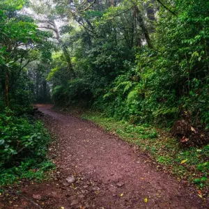 Explore Independent Costa Rica Wonders for 7 days with Globus and discover unforgettable experiences - Photo 4