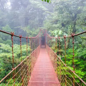 Explore Independent Costa Rica Wonders for 7 days with Globus and discover unforgettable experiences - Photo 6