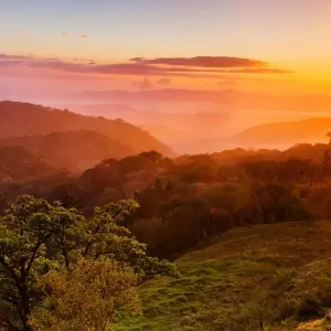 Explore Independent Costa Rica Wonders for 7 days with Globus and discover unforgettable experiences - Photo 7