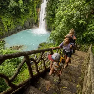 Explore Costa Rica's Pura Vida Escape with Tortuguero for 10 days with Globus and discover unforgettable experiences - Photo 6
