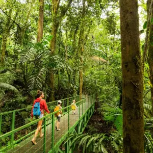 Explore Costa Rica's Pura Vida Escape with Tortuguero for 10 days with Globus and discover unforgettable experiences - Photo 7