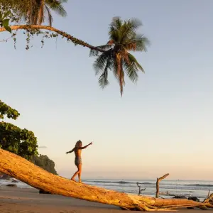 Explore Costa Rica's Pura Vida Escape with Tortuguero for 10 days with Globus and discover unforgettable experiences - Photo 9
