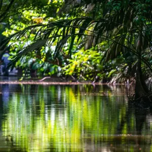 Explore Independent Costa Rica Wonders with Tortuguero for 9 days with Globus and discover unforgettable experiences - Photo 4