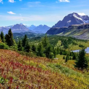 Explore Grand Western Canada Vacation for 13 days with Globus and discover unforgettable experiences - Photo 5